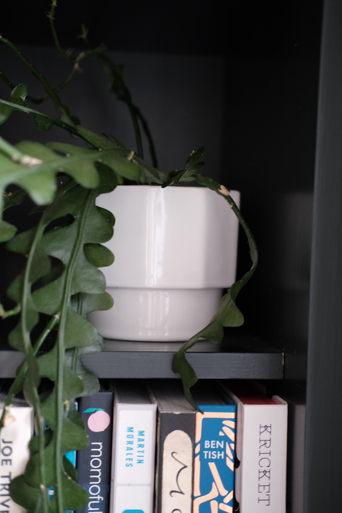 Vintage • Urtepotte • Hvid