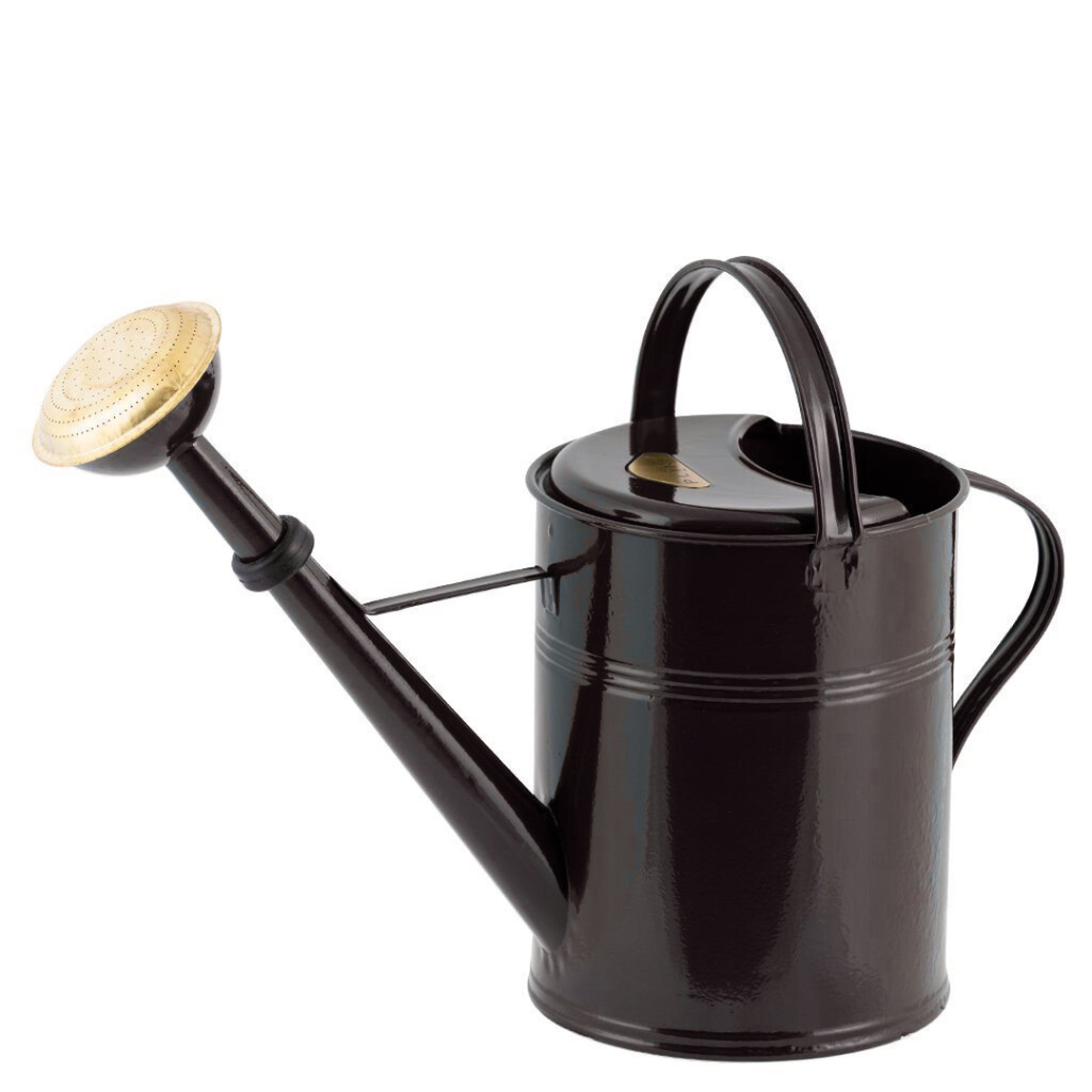 Watering can • hot-dip galvanized iron • Indoor and outdoor use • 9 Litres • Green