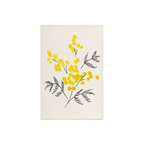Kort fra Scribble & Daub med mimosa-blomst design, illustreret med farverige blomster og grønne blade.