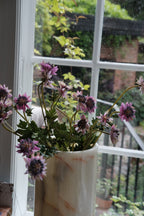 Blomst • Stjerneskærm • Lyserød