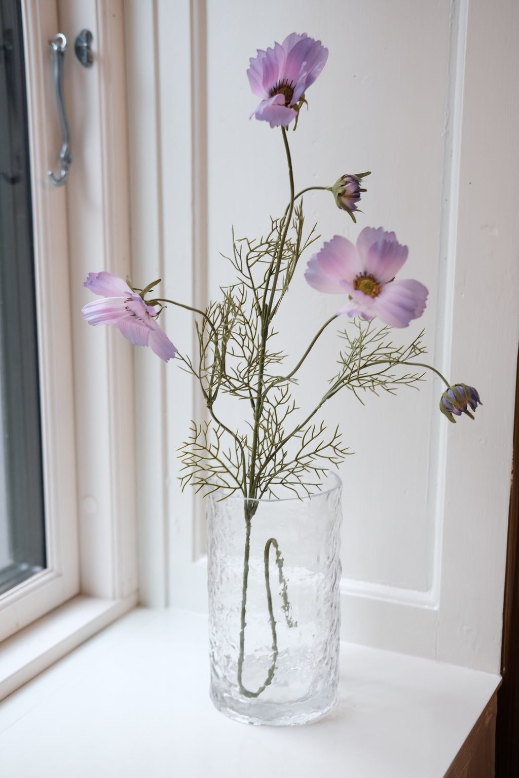 Flower • Cosmos • Purple