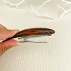 Hårklip • Fisk • spænde