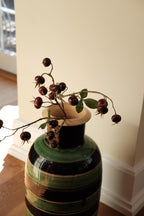 Blomst • Hyben Bær • Mørkerøde • DORA