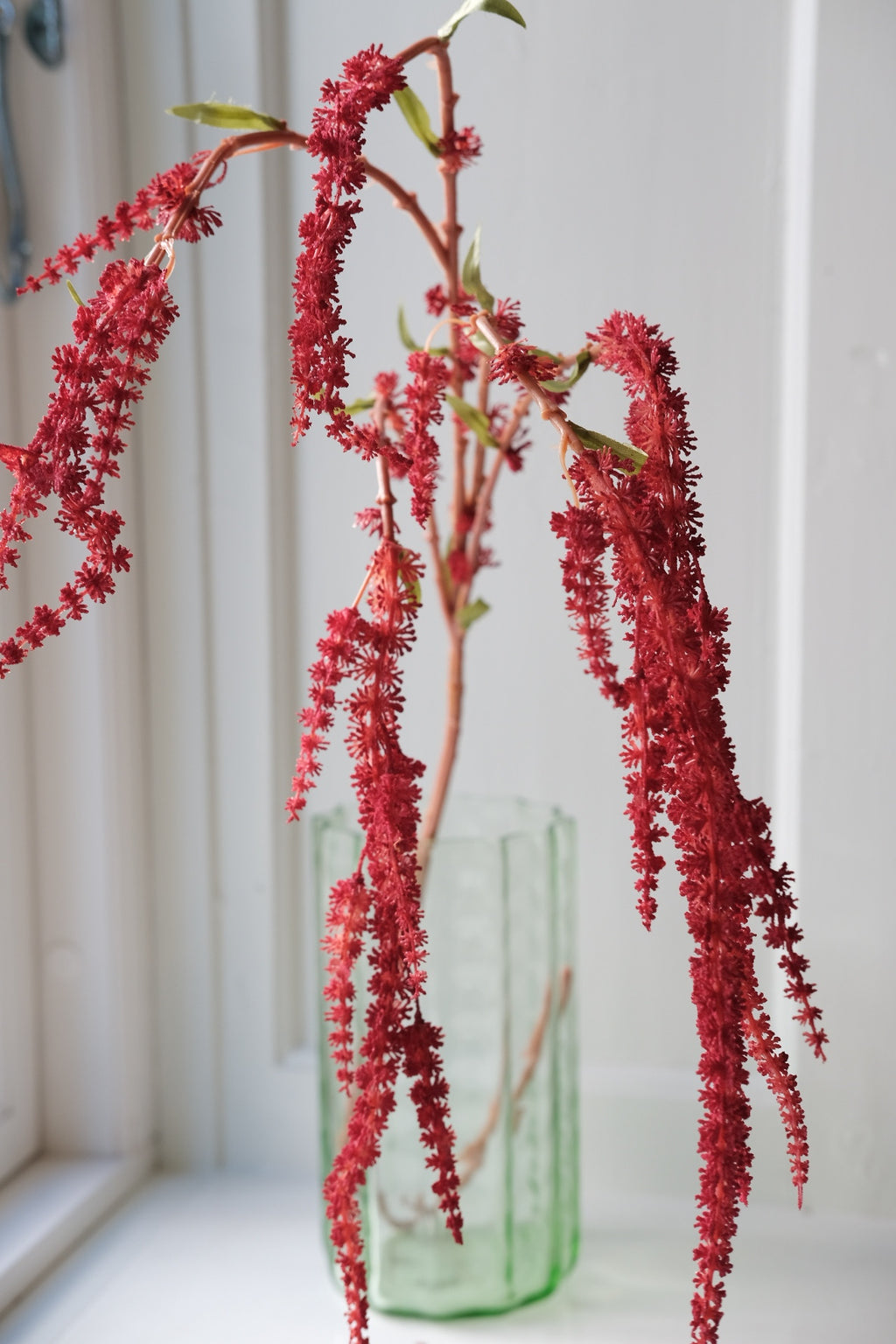 Blomst • Hængende Rævehale • Amaranth • Rød