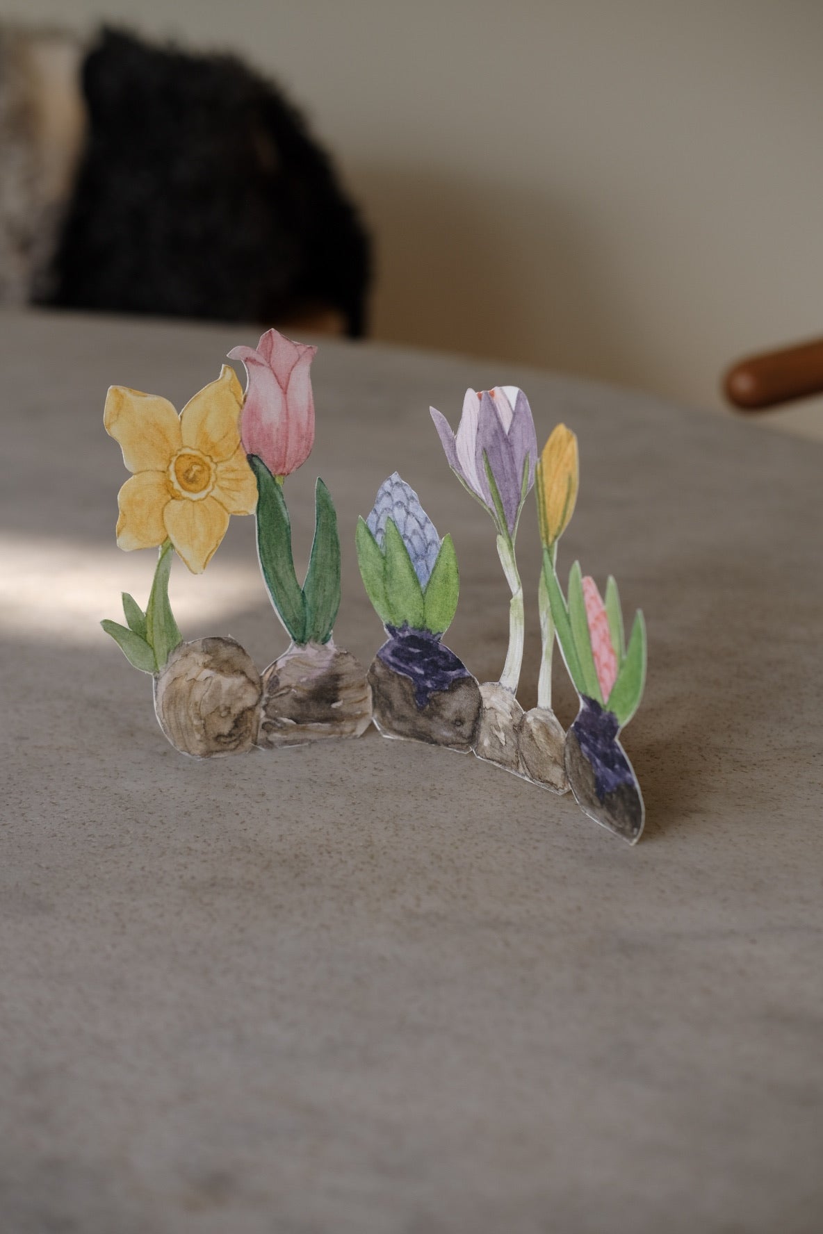 Påskepynt • Hyacinter • Udklip