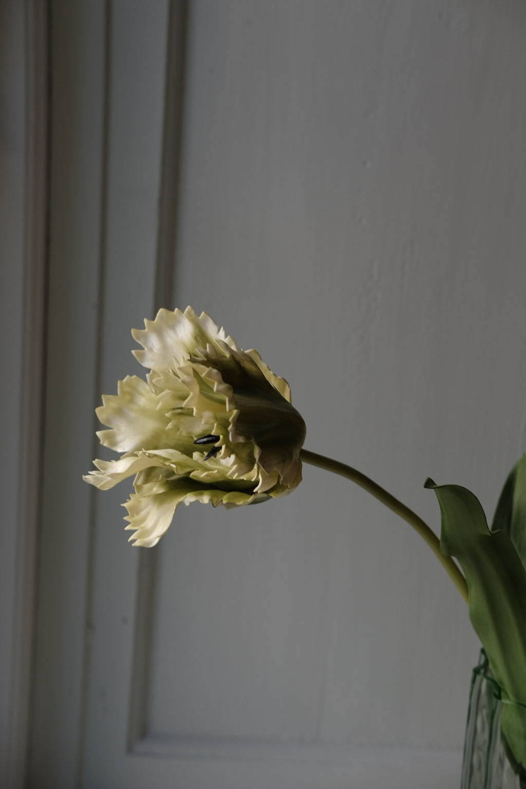 Blomst • Tulipan • Grøn hvid