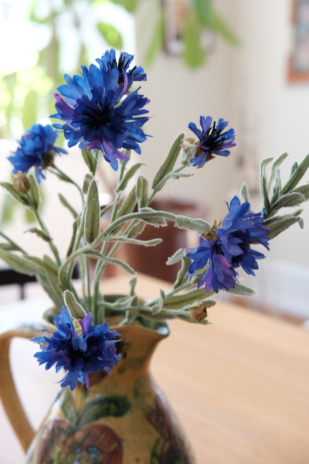 Blomst • Kornblomst • Blå • DORA