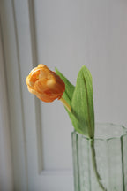 Blomst • Tulipan • Lille • Orange