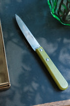 Urtekniv fra Roger Orfevre med træskaft og limefarvet blad, velegnet til krydderurter og madlavning.