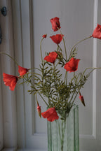 Blomst • Valmue • 12 blomster • Rød