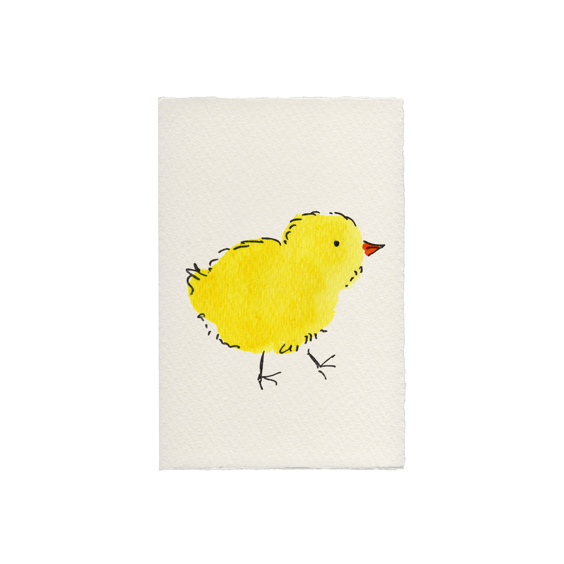 Scribble & Daub kort med farverige, kreative illustrationer og tekst, perfekt til kortskrivning og gave.