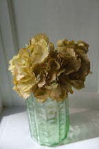 Blomst • Hortensia • Gullig