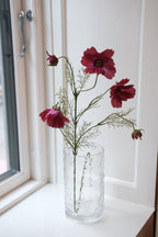 Blomst • Cosmos • Stolt Kavaler • Fuchsia