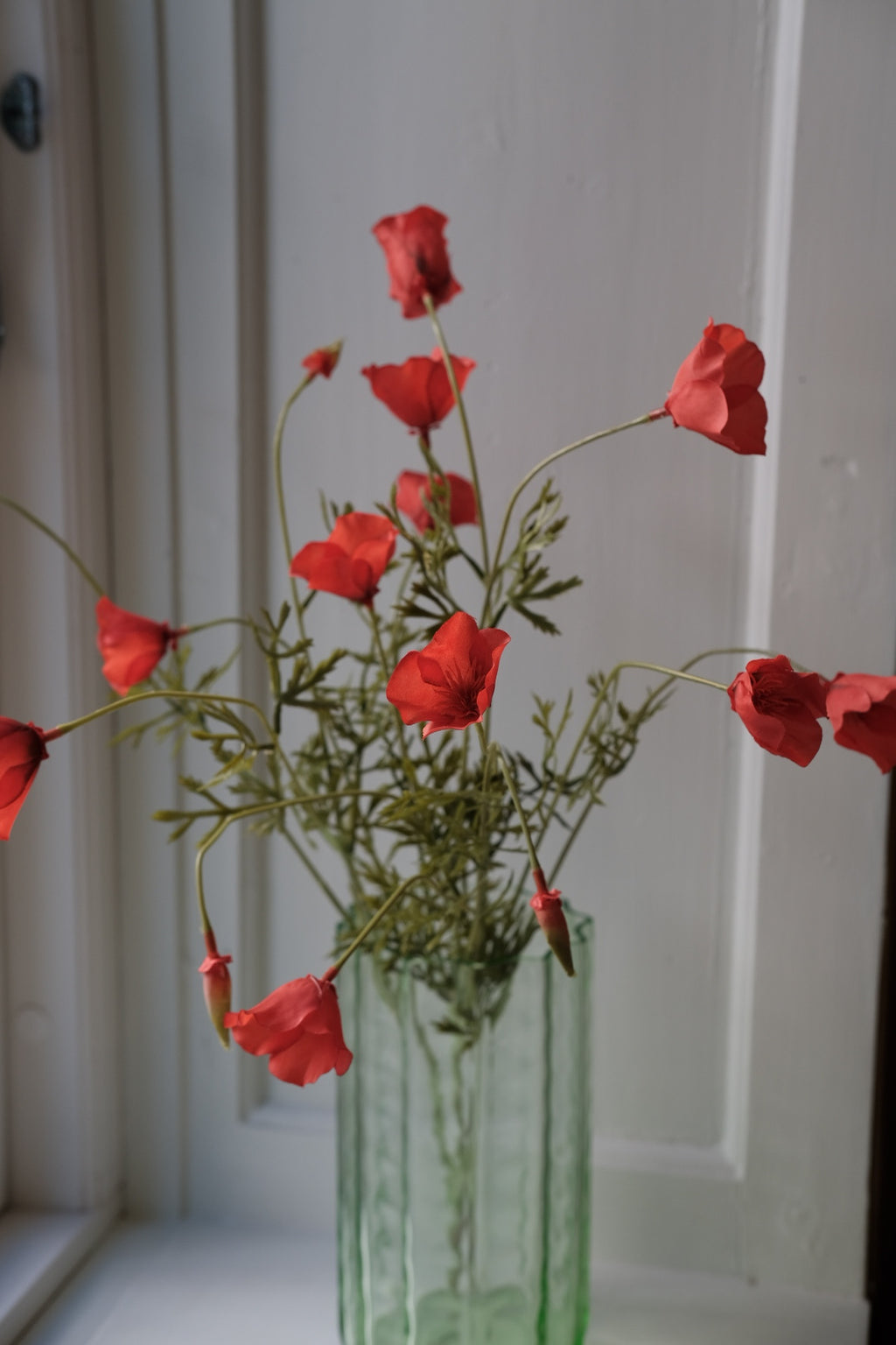 Blomst • Valmue • 12 blomster • Rød