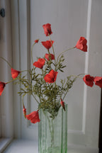 Blomst • Valmue • 12 blomster • Rød