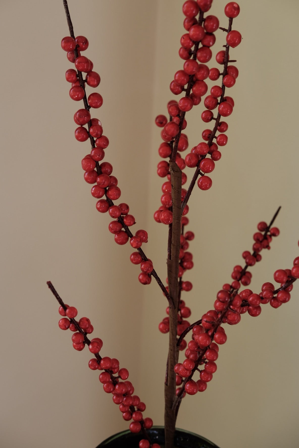 Blomst • Rønnebær • Røde