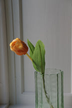 Blomst • Tulipan • Lille • Orange