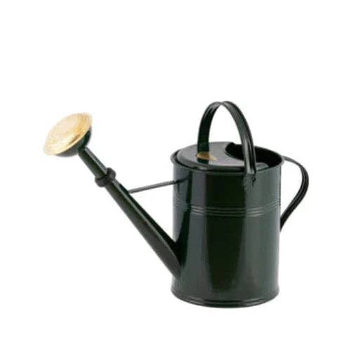 Watering can • hot-dip galvanized iron • Indoor and outdoor use • 9 Litres • Green