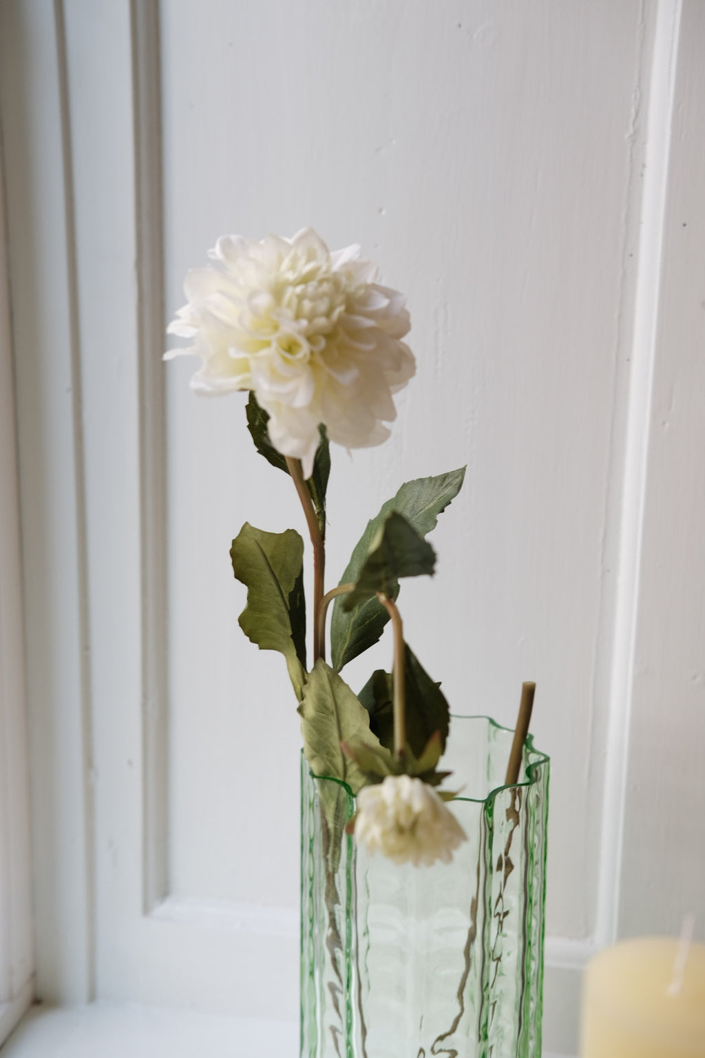 Blomst • Dahlia • Hvid