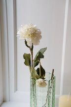 Blomst • Dahlia • Hvid