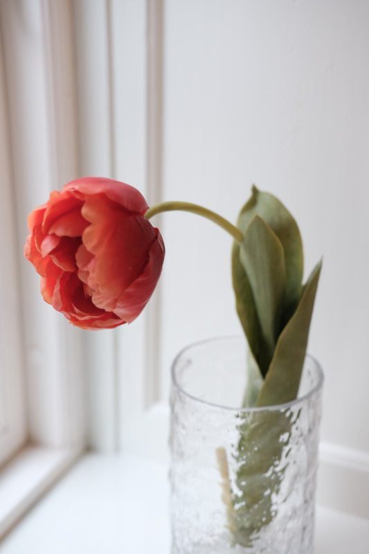 Blomst • Tulipan • Spray • Orange