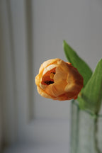 Blomst • Tulipan • Lille • Orange