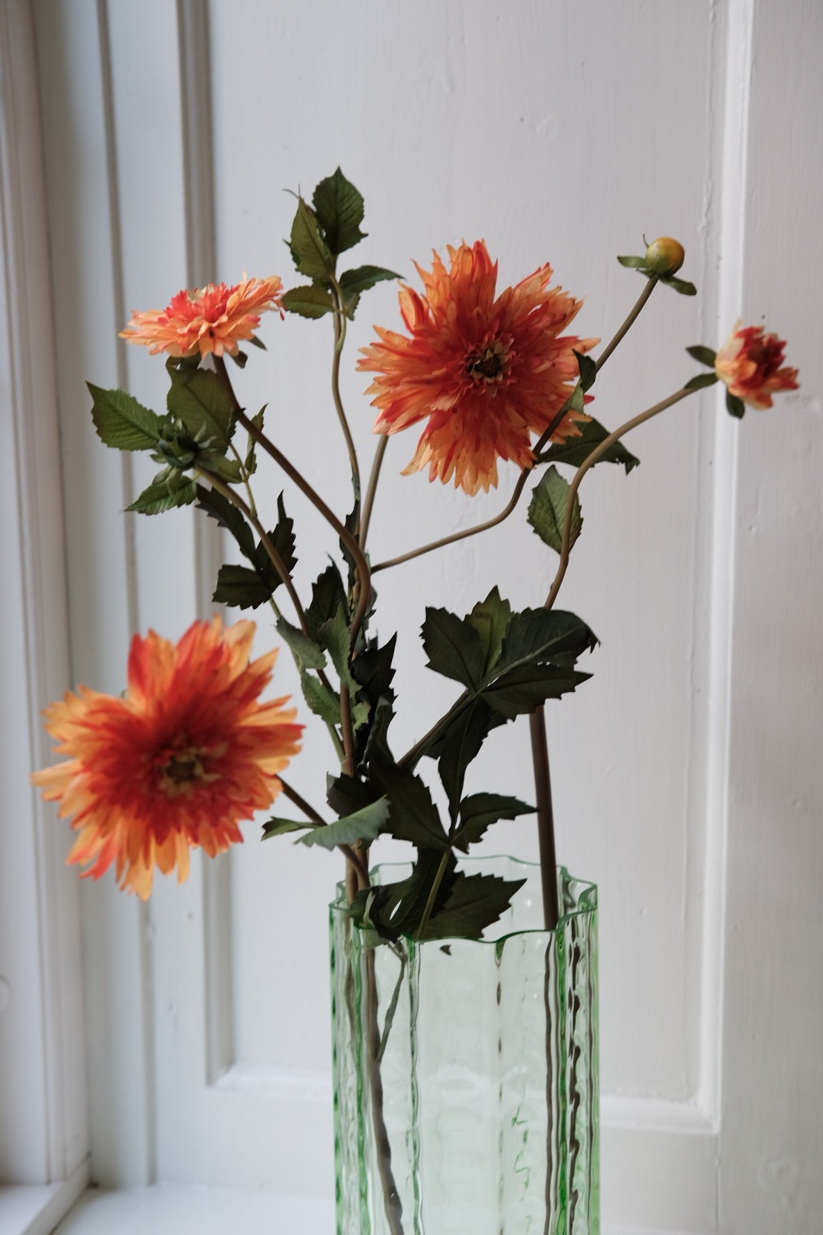 Blomst • Dahlia • Orange