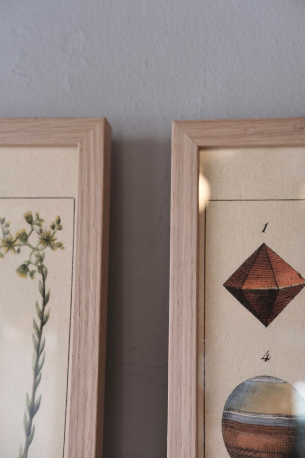 Ramme • Eg • 50 x 70 • Sendes ikke