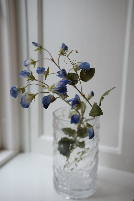 Blomst • Ærteblomst • Blå
