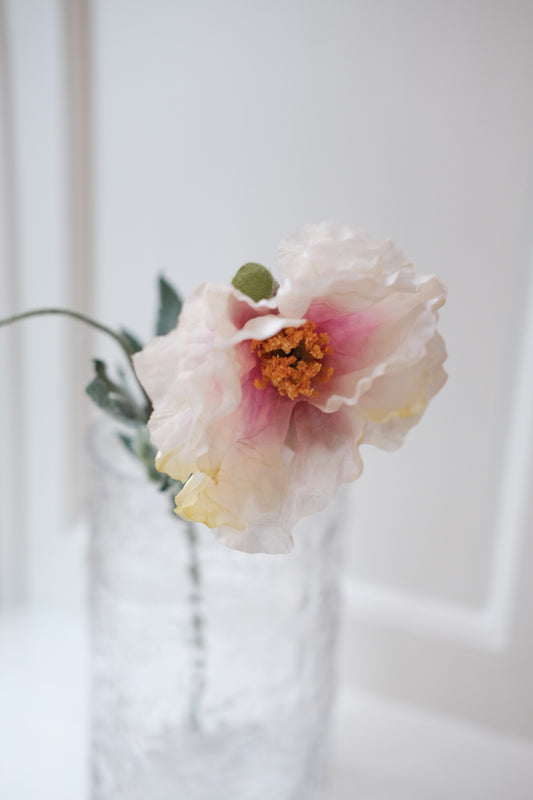 Flower • Poppy • White and Pink