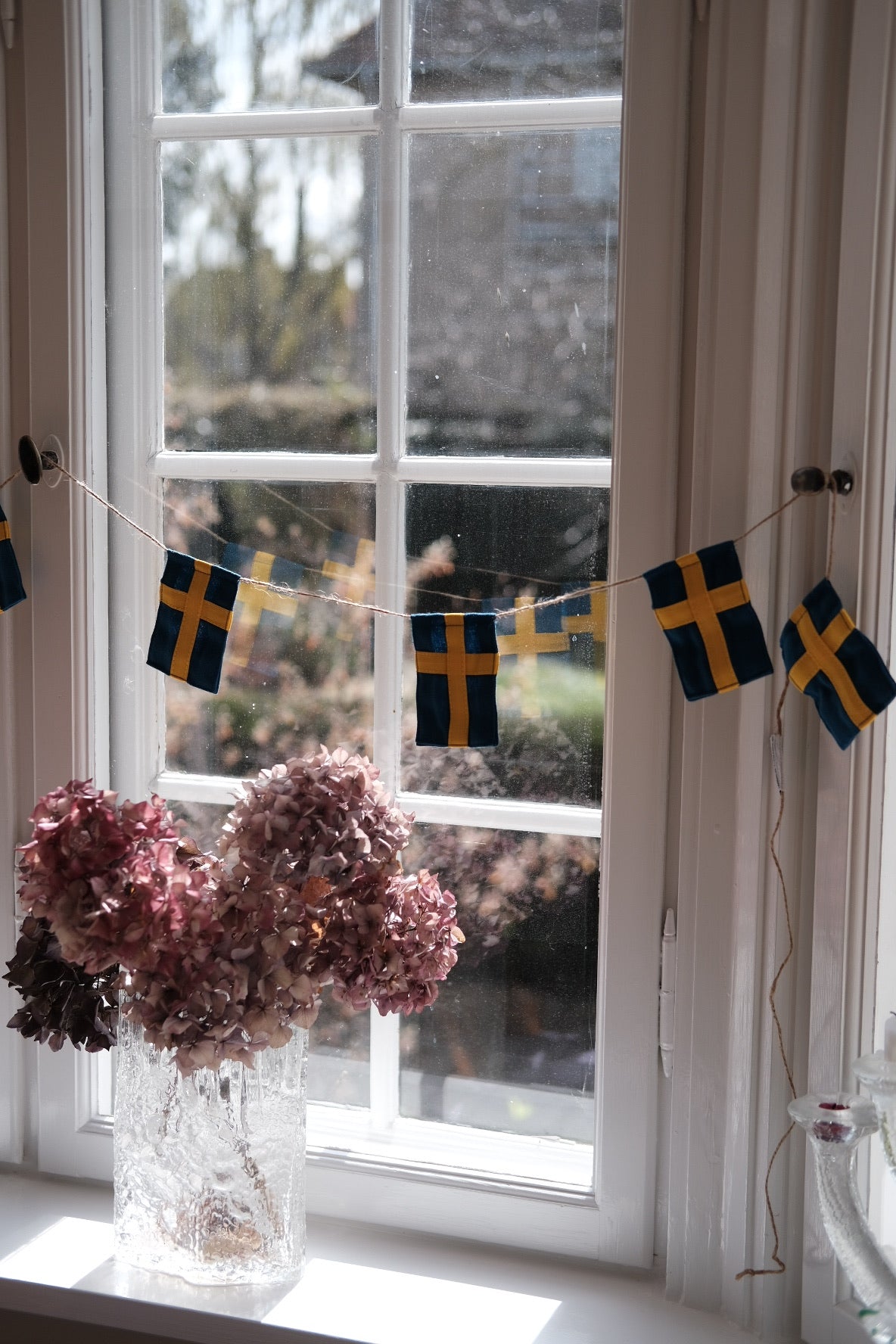Flag vine • Swedish • Large