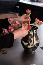 Blomst • Julerose • Rosa • DORA