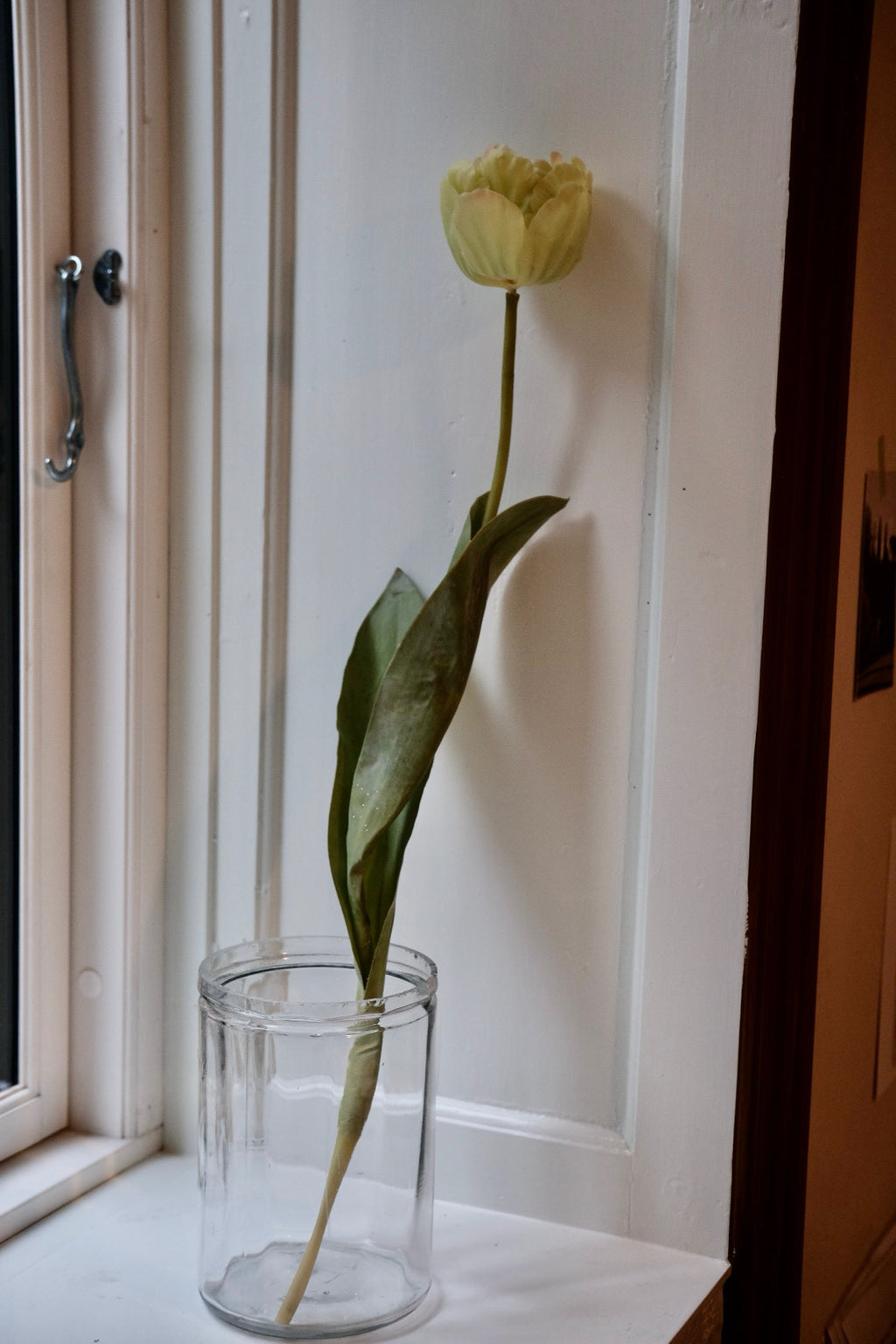 Flower • Tulip • Spray • Orange