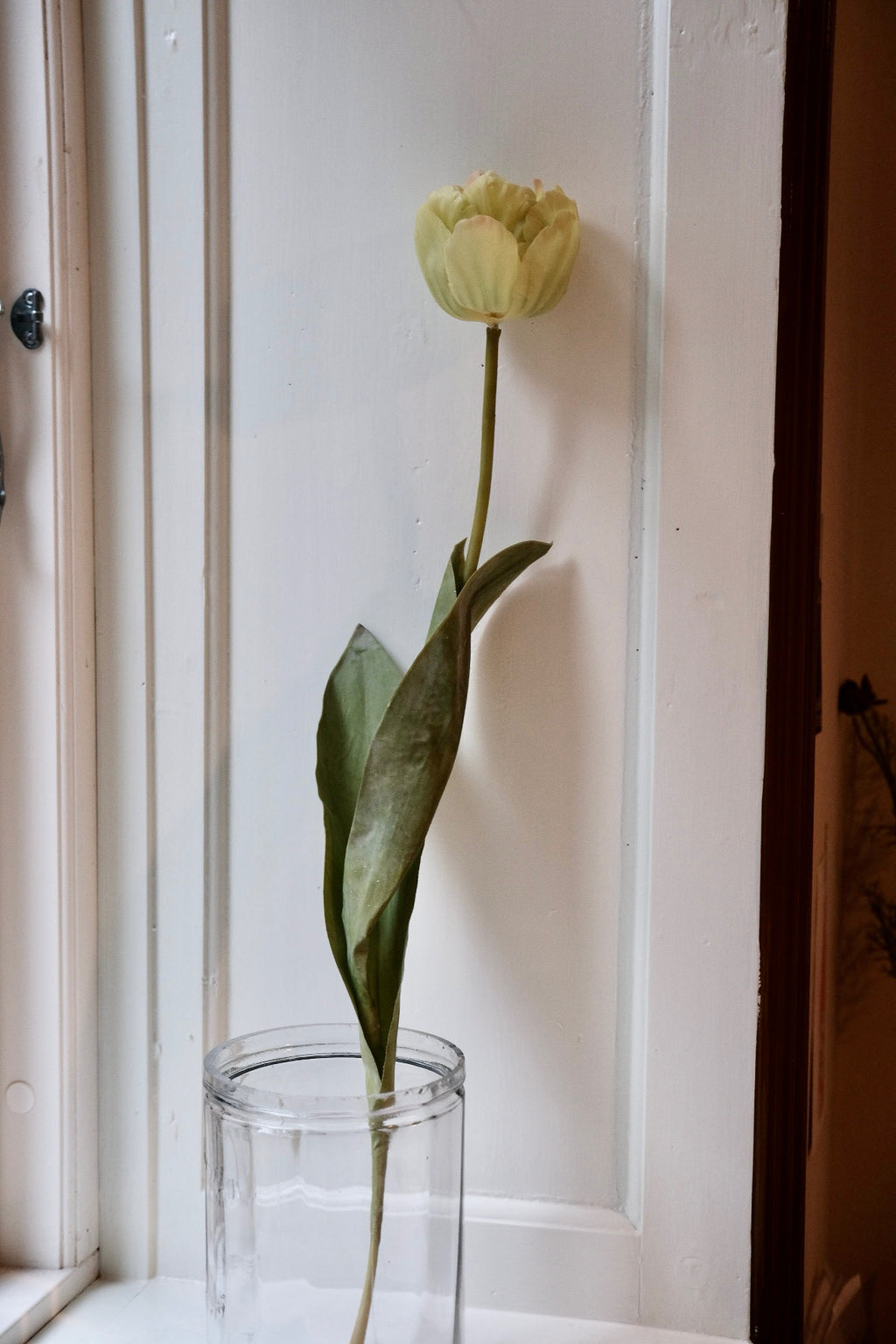 Flower • Tulip • Spray • Orange