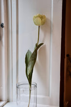 Flower • Tulip • Spray • Orange