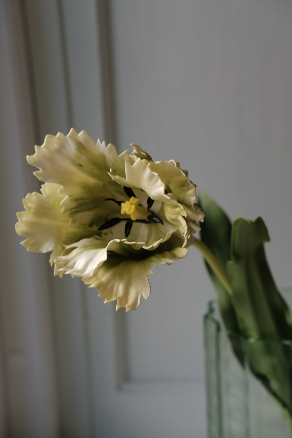 Blomst • Tulipan • Grøn hvid