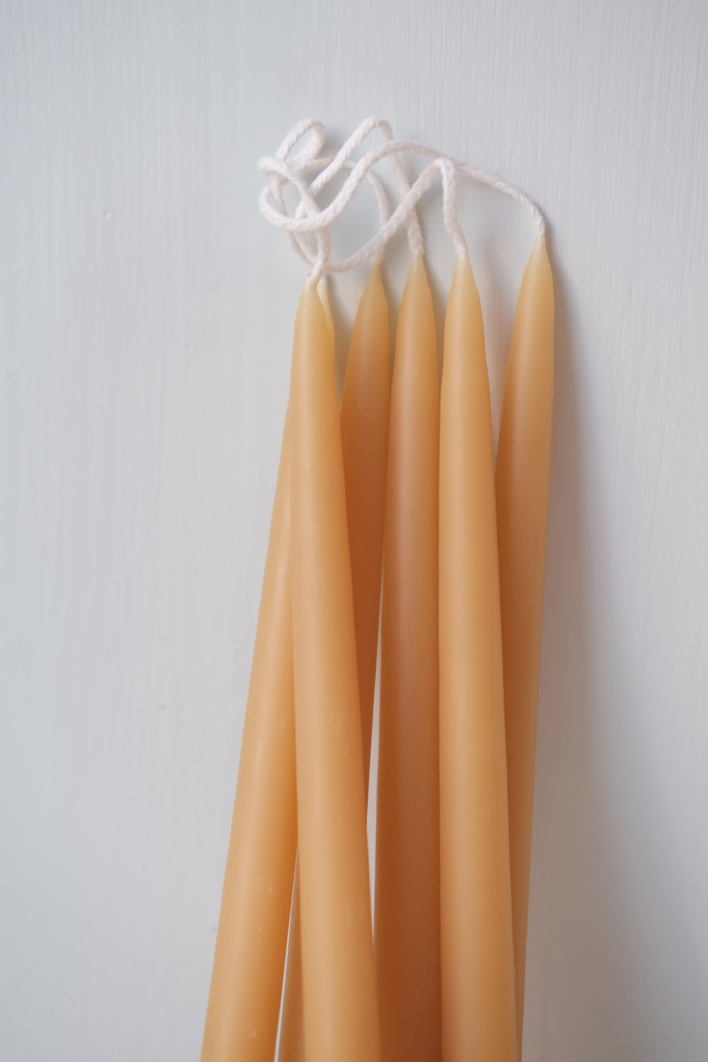 Kertelys • 6 stk • Bivoks