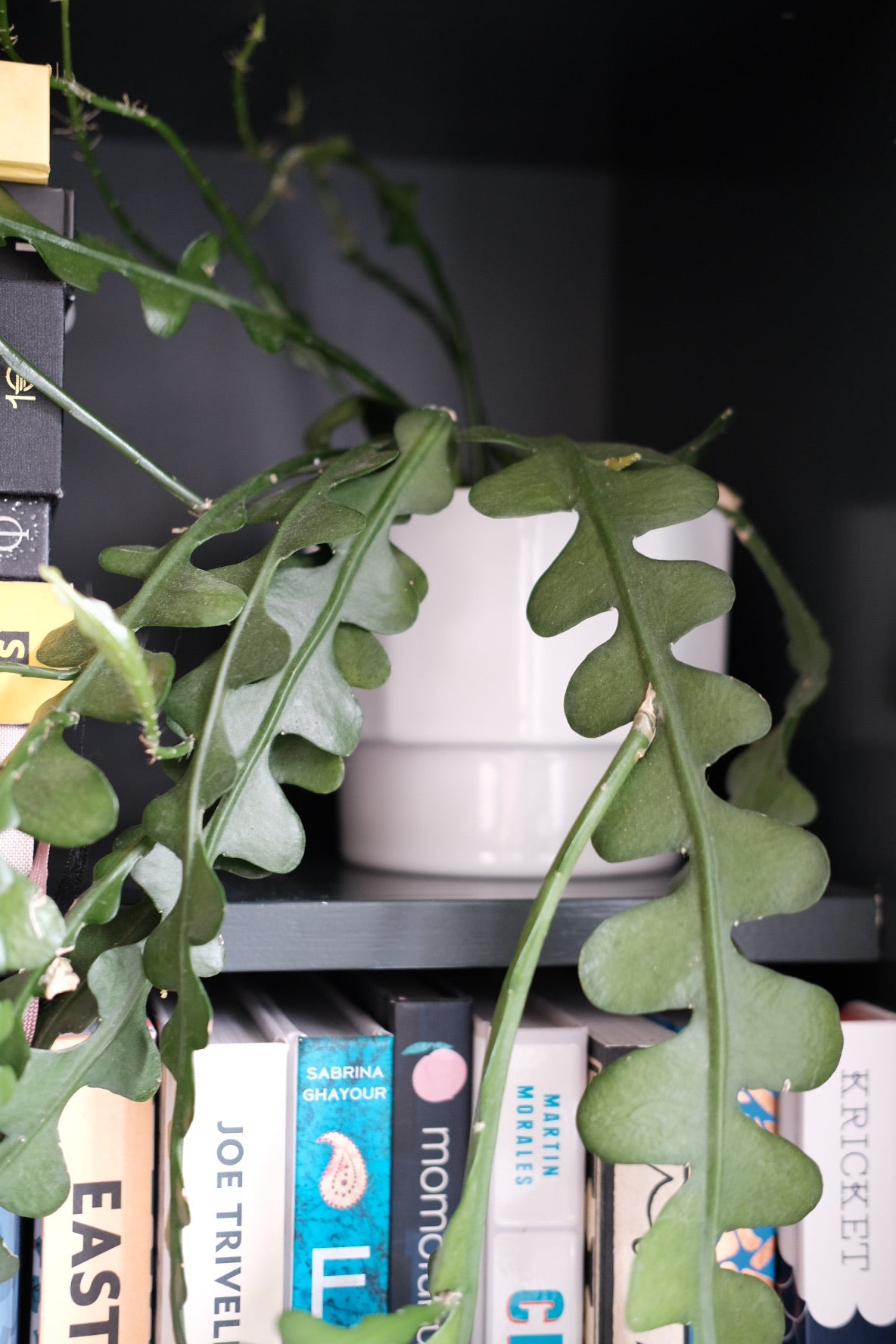 Vintage • Urtepotte • Hvid