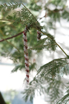 Julepynt • Dekoration • Slikstok • Piperenser • Hvid & Rød