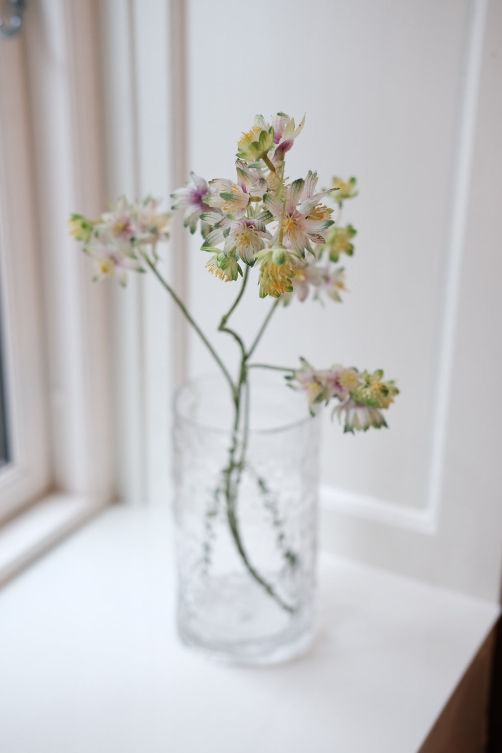 Blomst • Stjerneskærm • Grøn