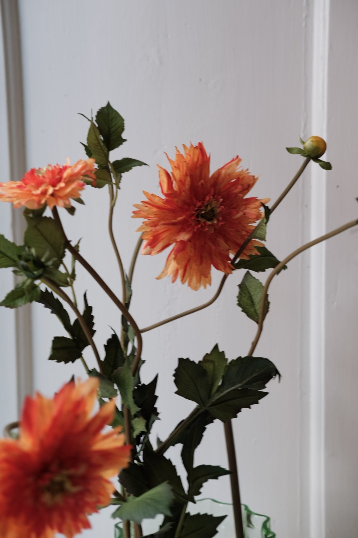Blomst • Dahlia • Orange
