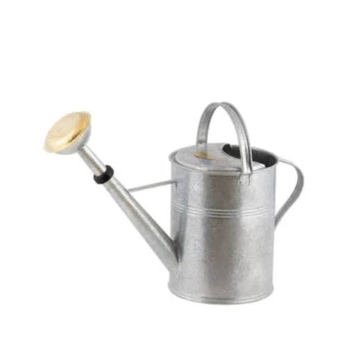 Watering can • hot-dip galvanized iron • Indoor and outdoor use • 9 Litres • Green