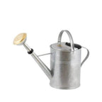 Watering can • hot-dip galvanized iron • Indoor and outdoor use • 9 Litres • Green