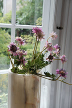 Blomst • Stjerneskærm • Lyserød