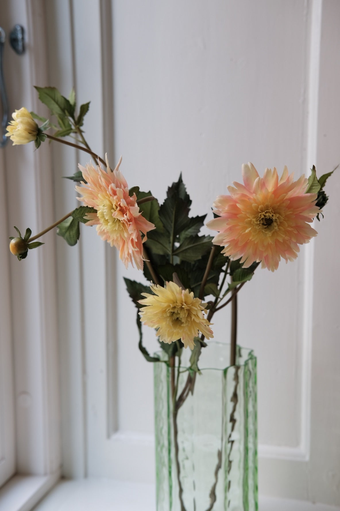 Blomst • Dahlia • Fersken