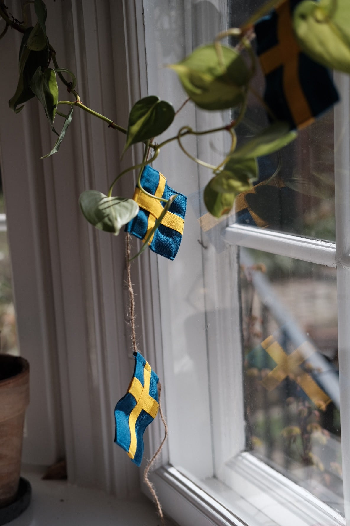 Flag vine • Swedish • Large