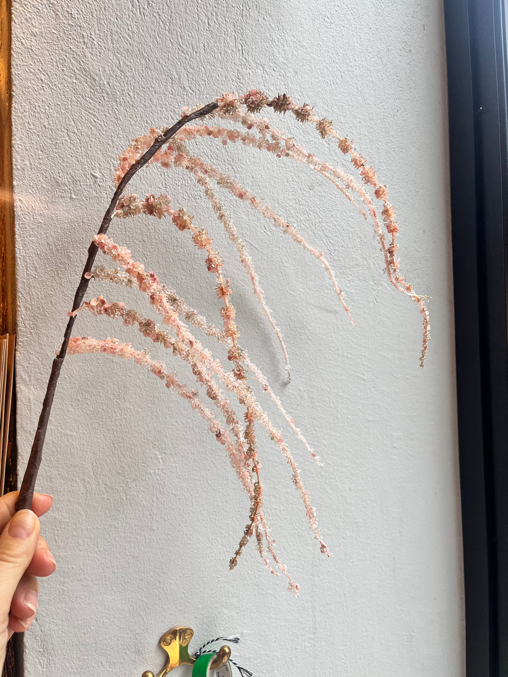 Blomst • Hængende Rævehale • Amaranth • Rosa • DORA