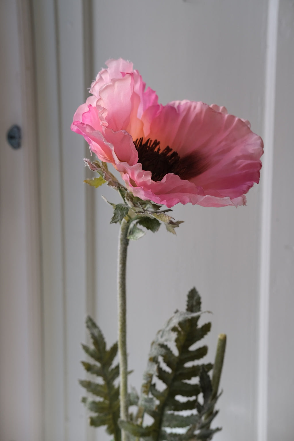 Blomst • Vamlue • Kæmpe • Pink