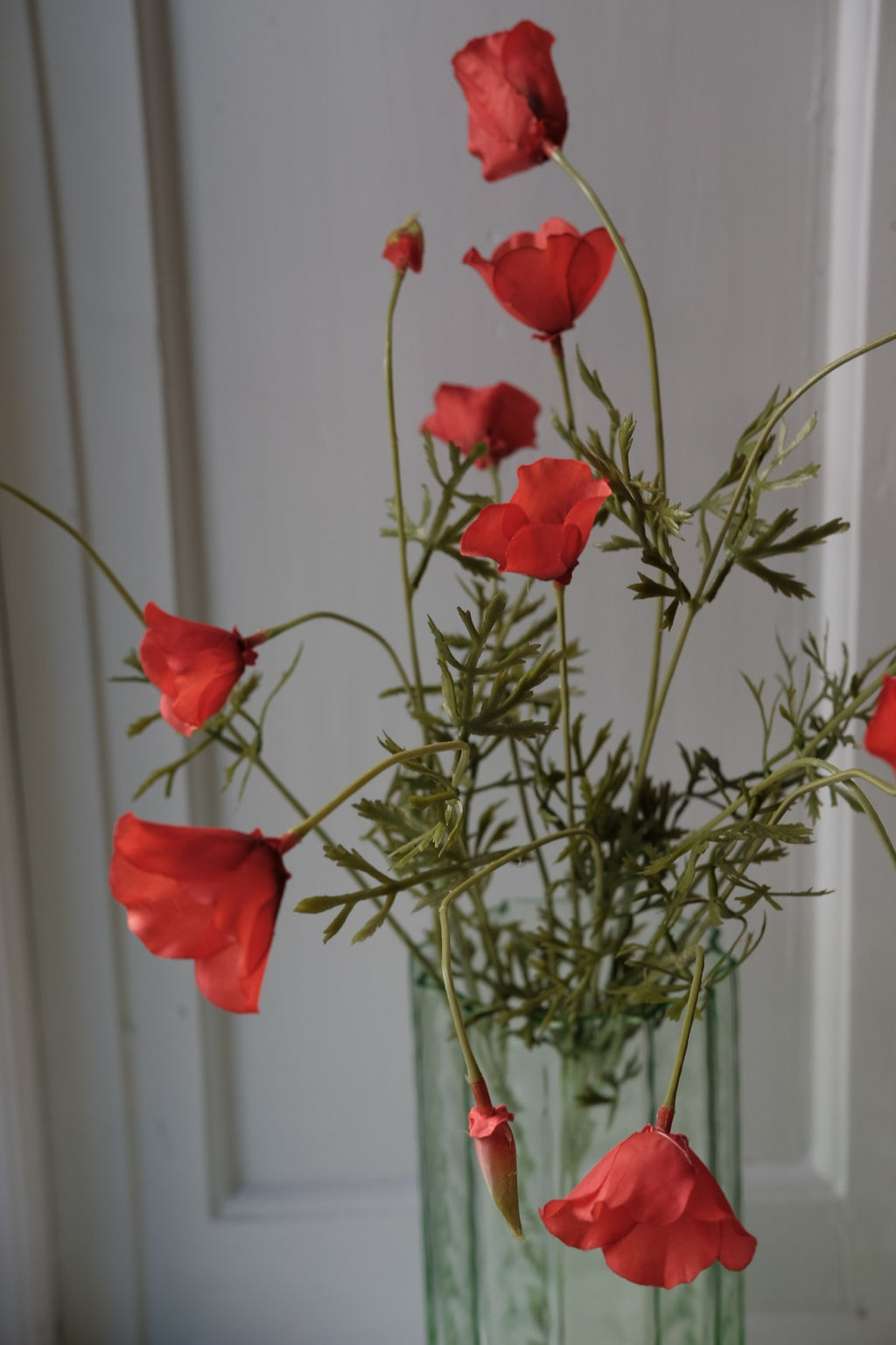 Blomst • Valmue • 12 blomster • Rød