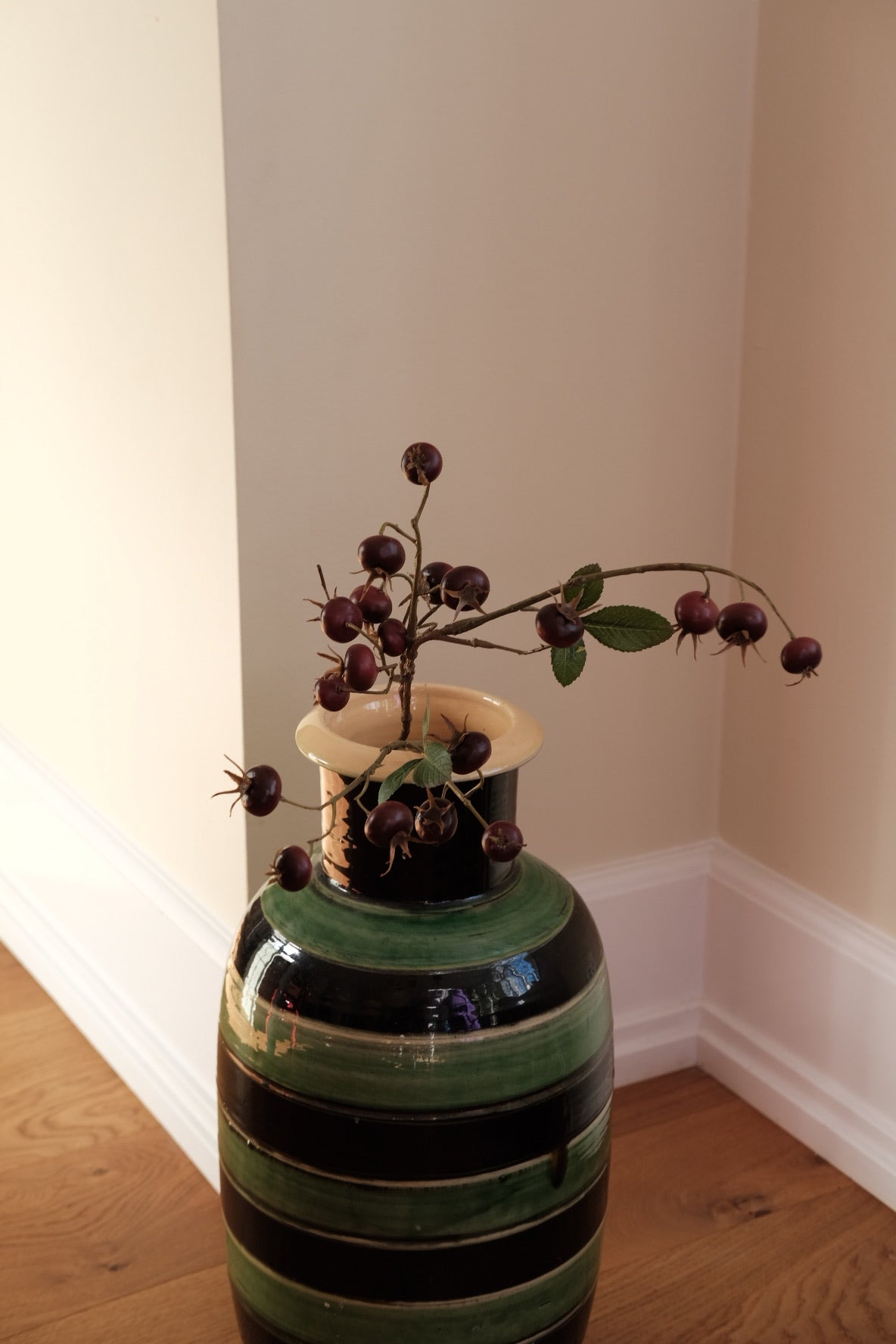 Blomst • Hyben Bær • Mørkerøde